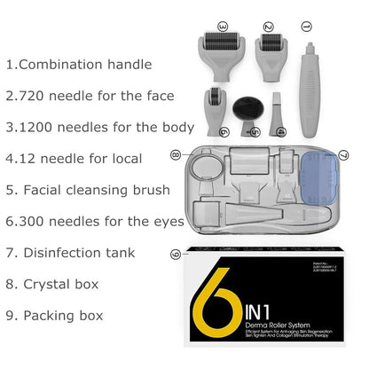 6-in-1 Titanium Derma Roller Kit For Face And Body